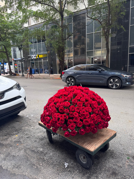 500 Razones para amar