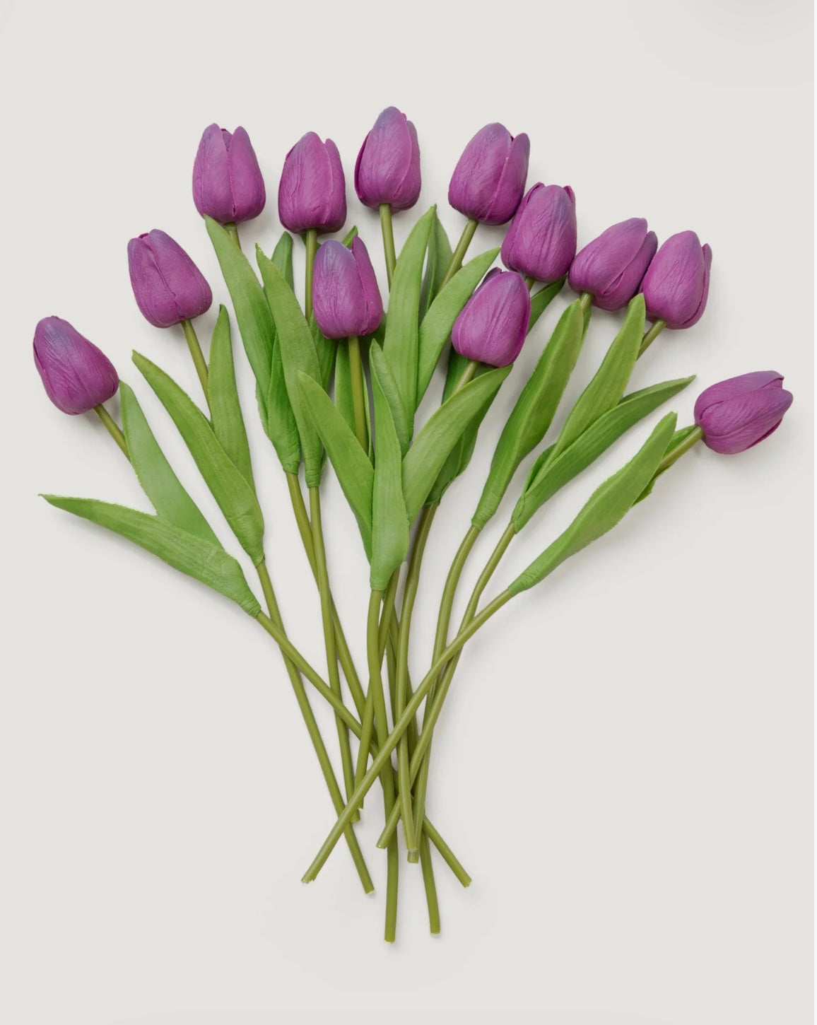 Tulipanes