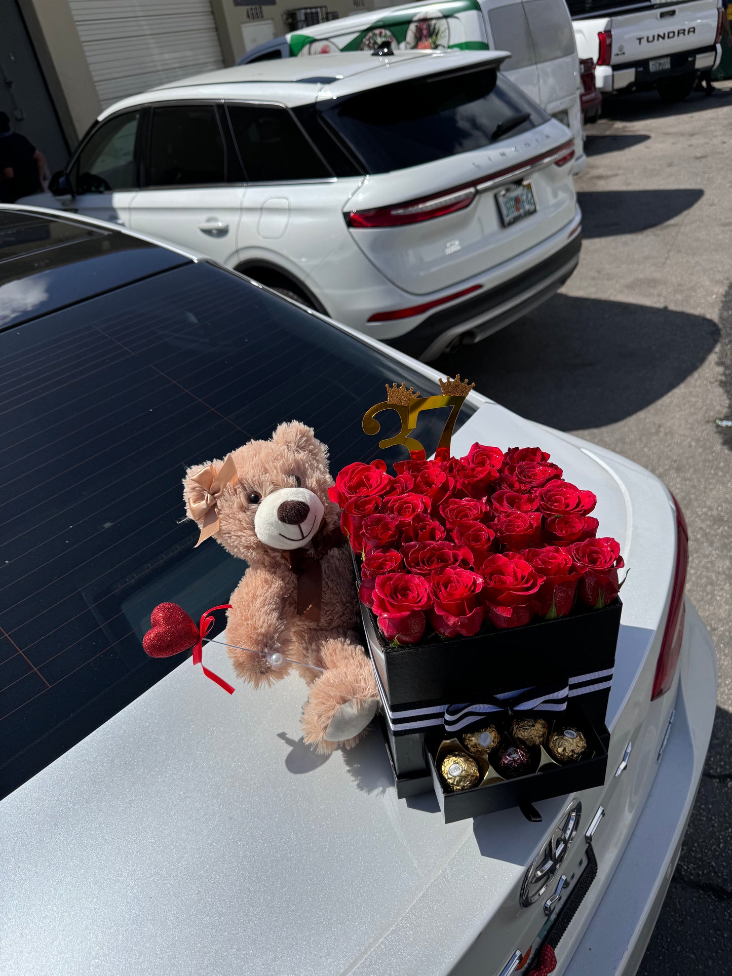 Teddy & Roses