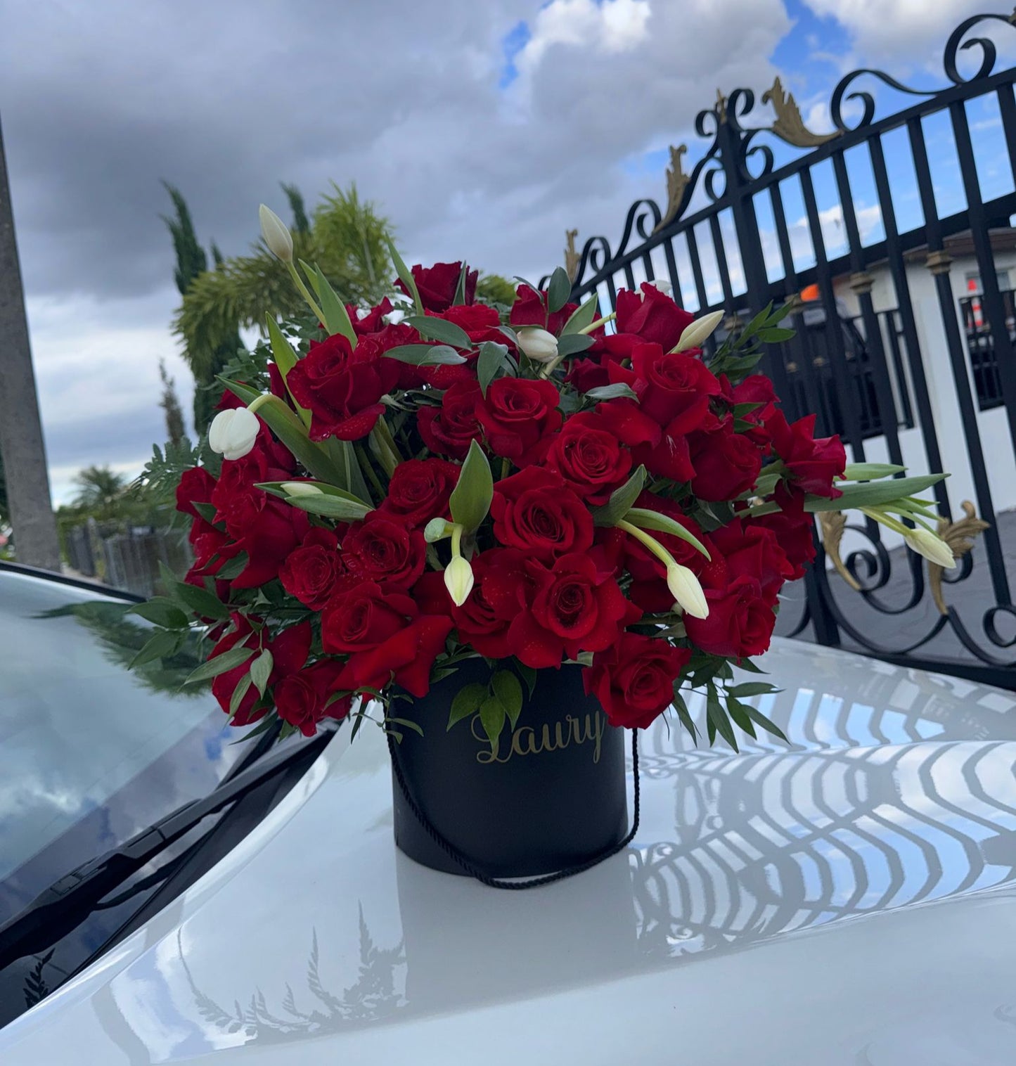 Beautiful Roses