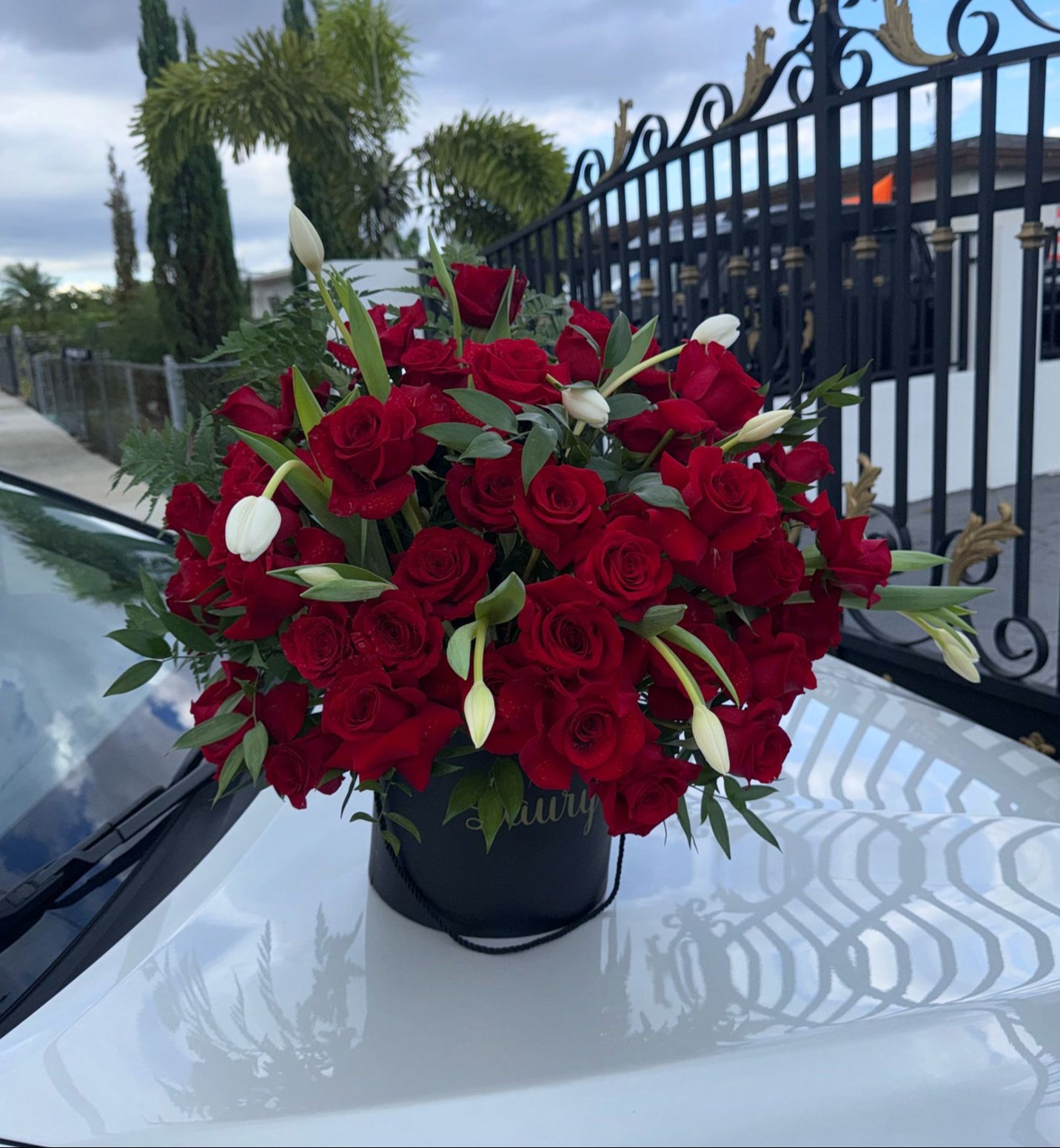 Beautiful Roses