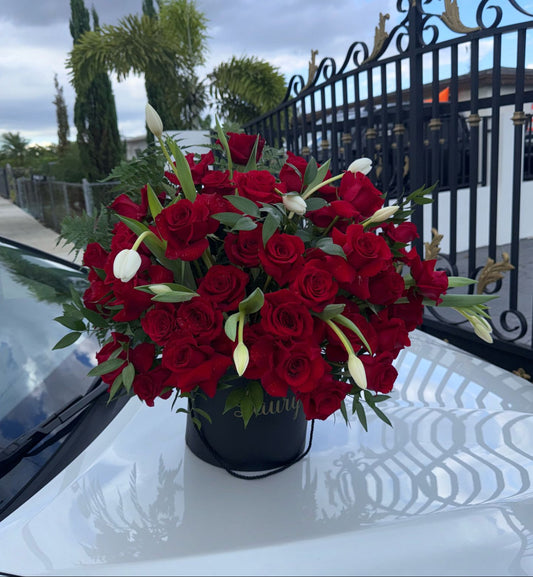 Beautiful Roses
