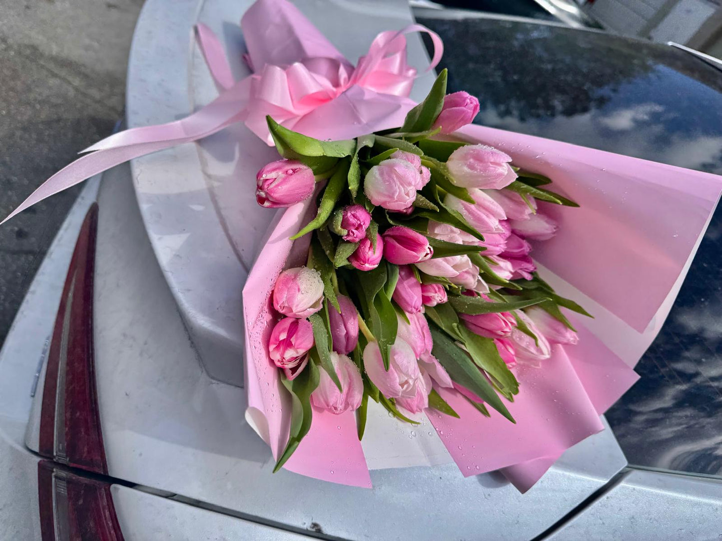 Tulipanes